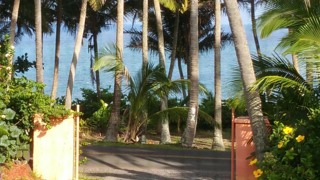 Whale House At Kehena Beach Pahoa Chambre photo