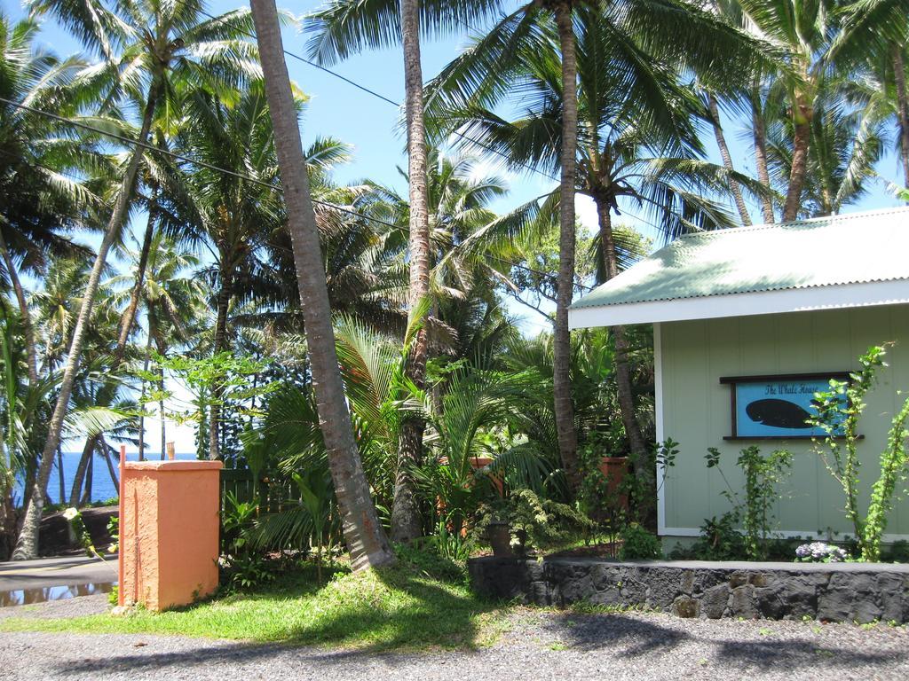 Whale House At Kehena Beach Pahoa Chambre photo