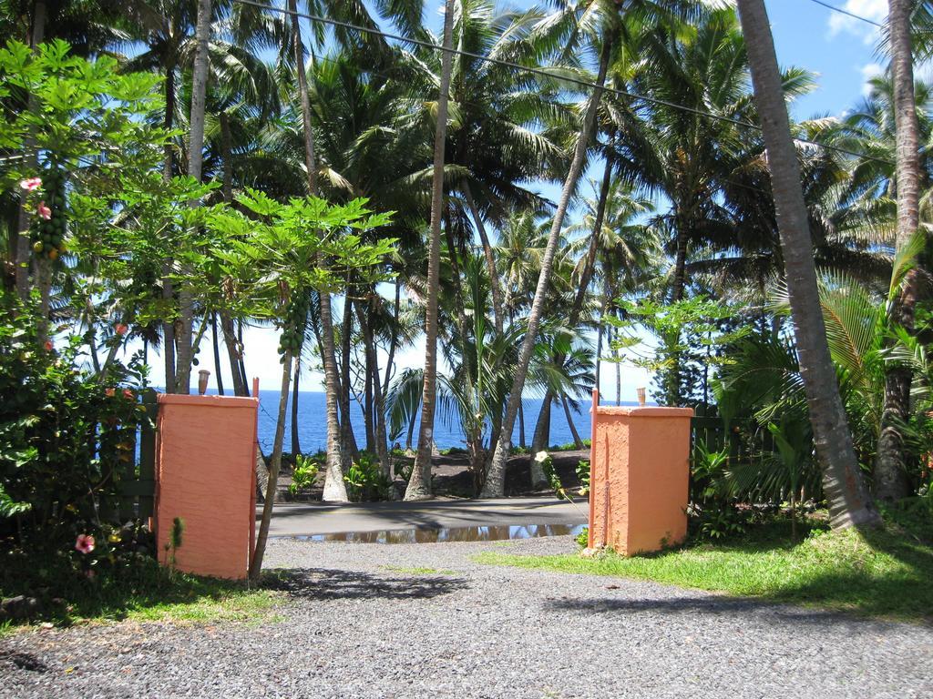 Whale House At Kehena Beach Pahoa Chambre photo