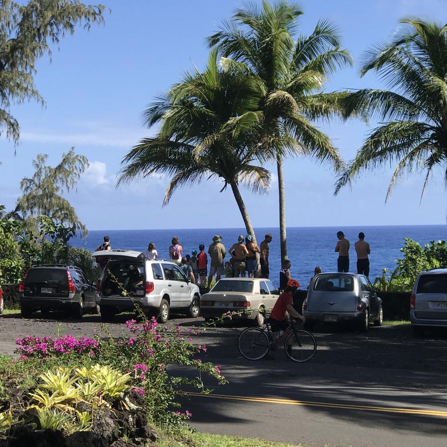 Whale House At Kehena Beach Pahoa Extérieur photo